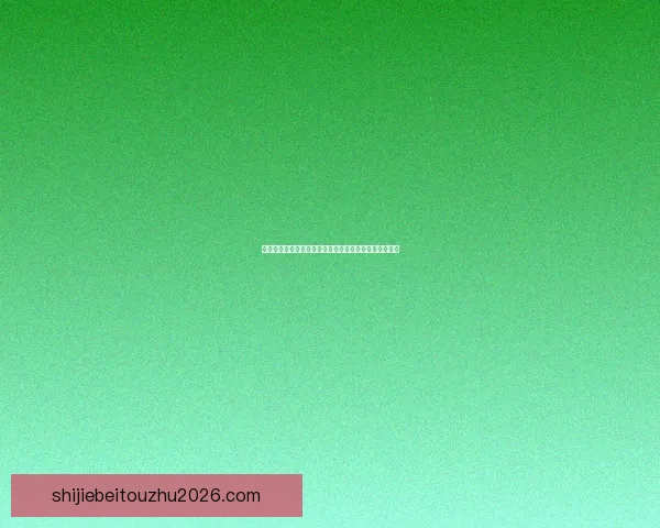 世界杯竞猜游戏规则详解与投注技巧新手到高手全面指南