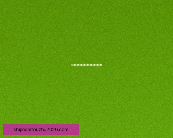 世界杯赛前盘口深度解析与投注技巧全方位指南