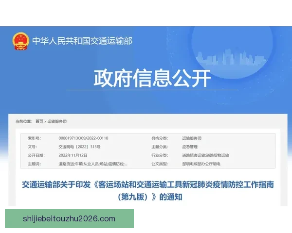 世界杯买球全攻略：技巧分析与风险防控全面指南