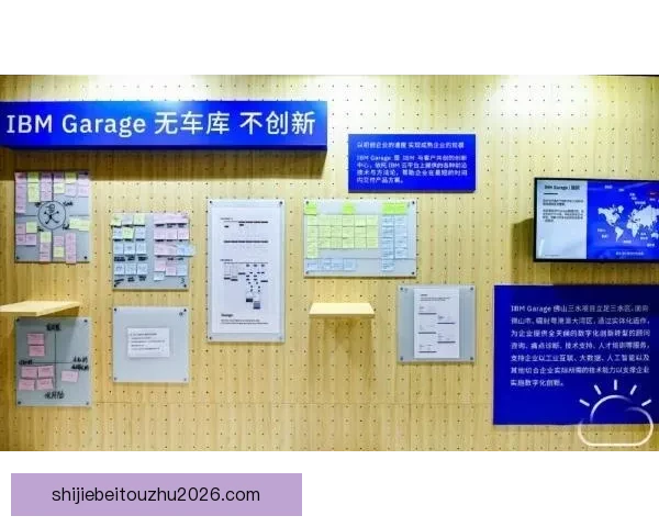 开云体育助力数字化转型 打造全球领先的体育科技平台