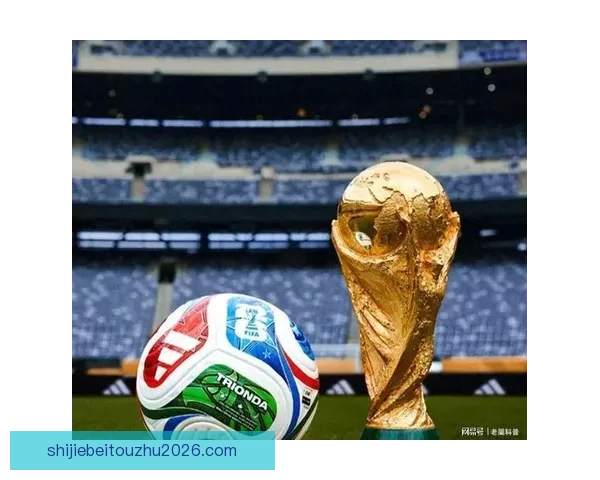 FIFA转播费高达二十亿球迷质疑官网无中文版不够尊重用户 FIFA转播费高达二十亿球迷质疑官网无中文版不够尊重用户